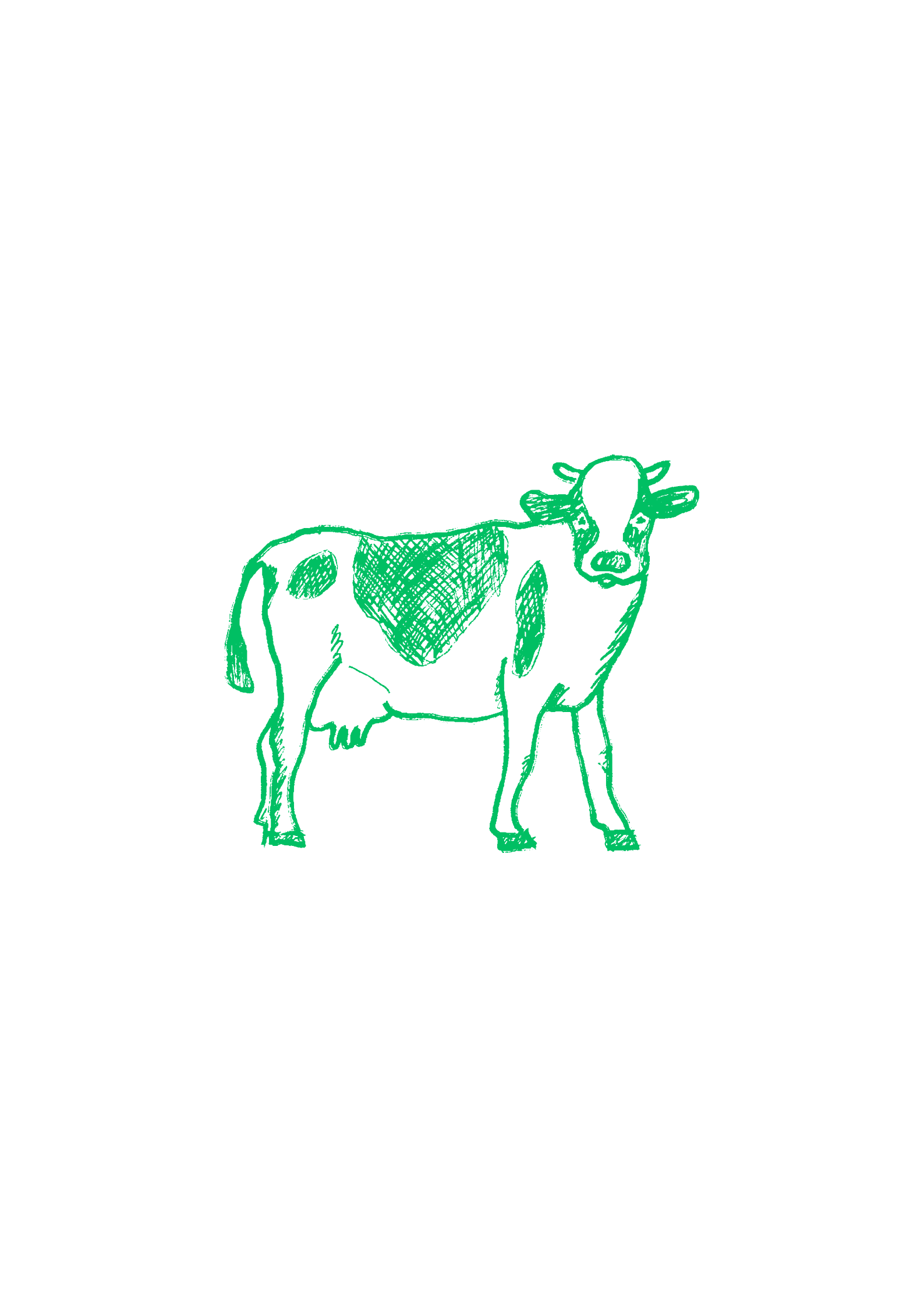 Fresh Milk 